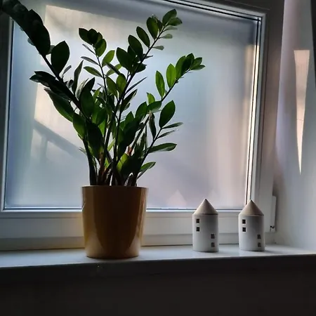 Viva Apartment Lovran